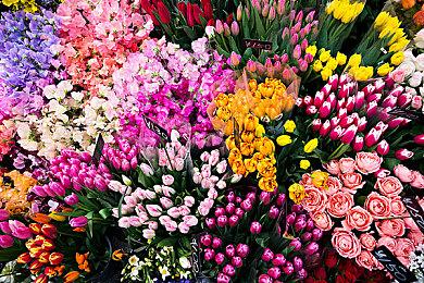 如果《VR战士》新作感觉不够好 世嘉将在开发途中叫停